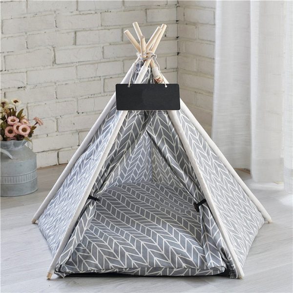 Tipi chat dans le salon