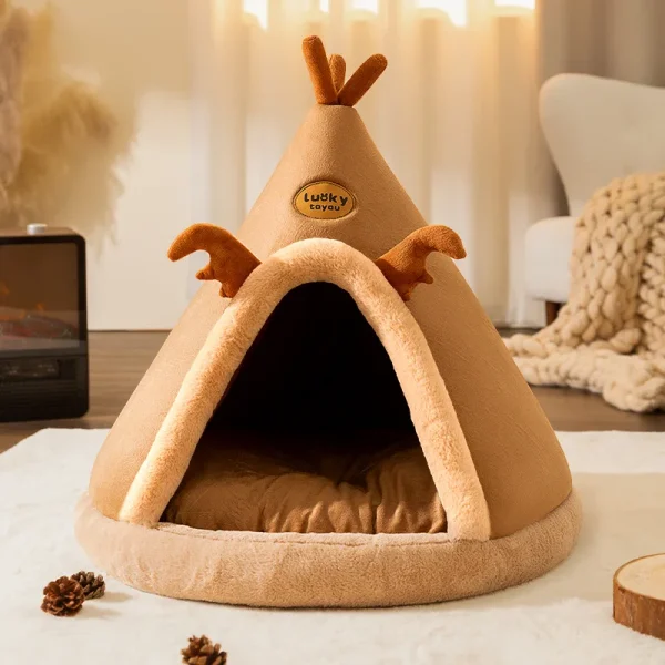 Chat confortable dans tipi